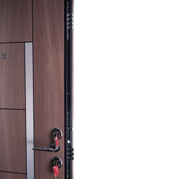 Ușă metalică intrare apartament Elite Plus 1017 Tanganica - imagine 4