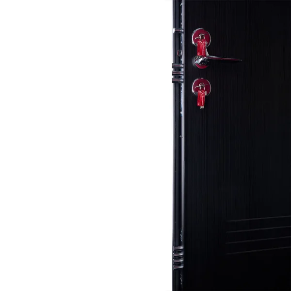 Ușă metalică intrare apartament Elite Plus 41 Negru Perlat - imagine 3